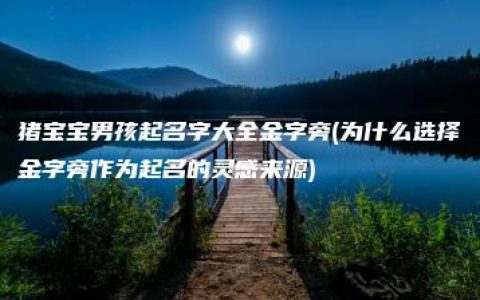 猪宝宝男孩起名字大全金字旁(为什么选择金字旁作为起名的灵感来源)