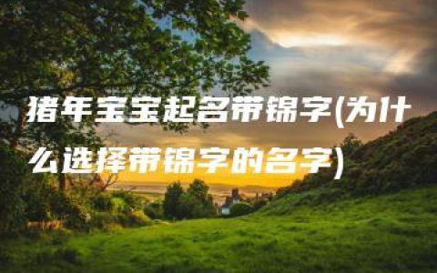 猪年宝宝起名带锦字(为什么选择带锦字的名字)