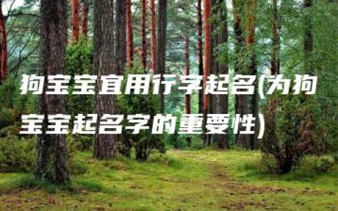 狗宝宝宜用行字起名(为狗宝宝起名字的重要性)