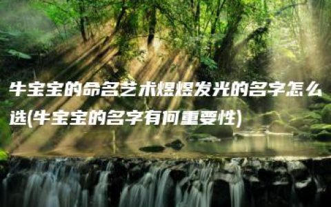 牛宝宝的命名艺术煜煜发光的名字怎么选(牛宝宝的名字有何重要性)