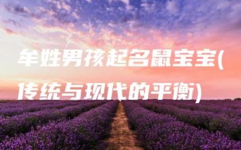 牟姓男孩起名鼠宝宝(传统与现代的平衡)