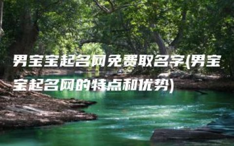 男宝宝起名网免费取名字(男宝宝起名网的特点和优势)