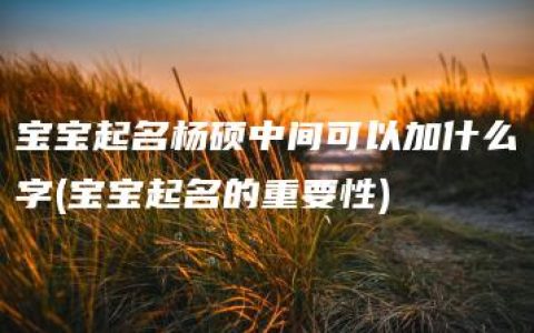 宝宝起名杨硕中间可以加什么字(宝宝起名的重要性)