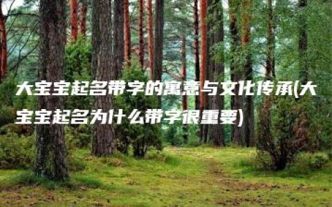 大宝宝起名带字的寓意与文化传承(大宝宝起名为什么带字很重要)