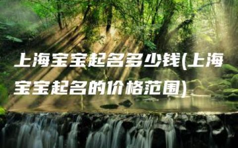 上海宝宝起名多少钱(上海宝宝起名的价格范围)