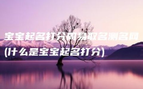 宝宝起名打分周易取名测名网(什么是宝宝起名打分)