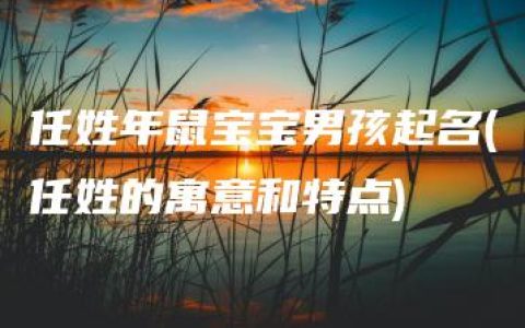 任姓年鼠宝宝男孩起名(任姓的寓意和特点)