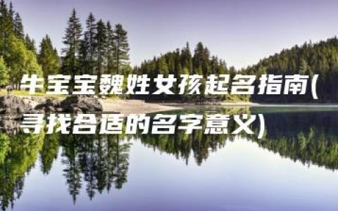 牛宝宝魏姓女孩起名指南(寻找合适的名字意义)