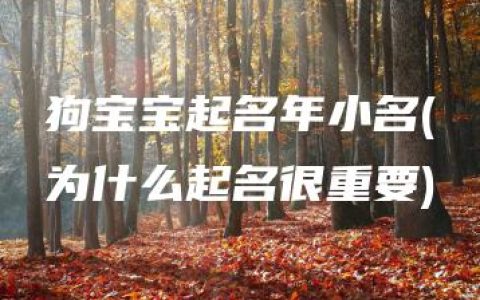 狗宝宝起名年小名(为什么起名很重要)