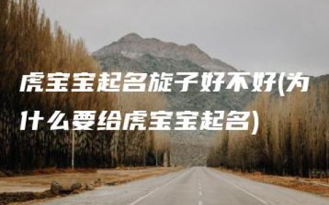 虎宝宝起名旋子好不好(为什么要给虎宝宝起名)