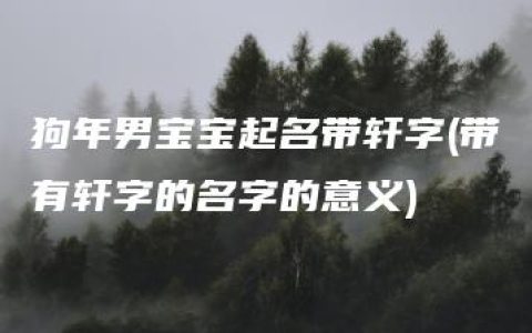 狗年男宝宝起名带轩字(带有轩字的名字的意义)