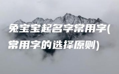 兔宝宝起名字常用字(常用字的选择原则)