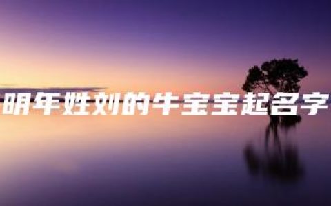 明年姓刘的牛宝宝起名字