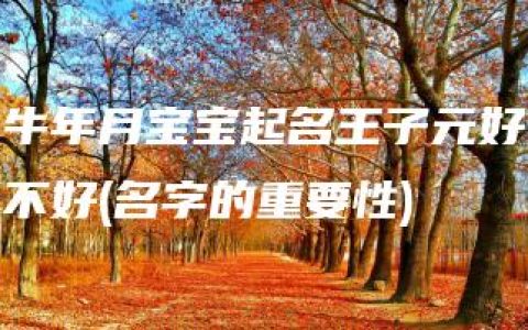 牛年月宝宝起名王子元好不好(名字的重要性)