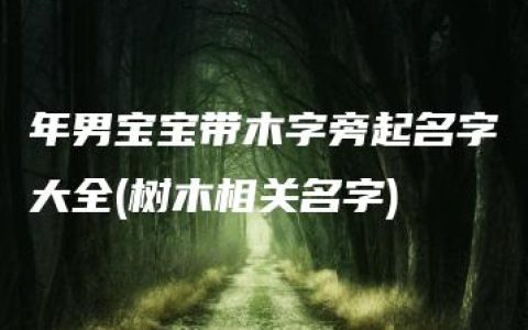 年男宝宝带木字旁起名字大全(树木相关名字)