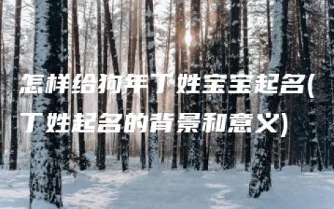 怎样给狗年丁姓宝宝起名(丁姓起名的背景和意义)