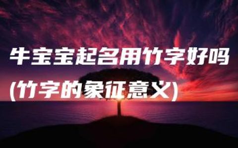 牛宝宝起名用竹字好吗(竹字的象征意义)