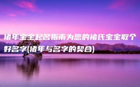 猪年宝宝起名指南为您的褚氏宝宝取个好名字(猪年与名字的契合)