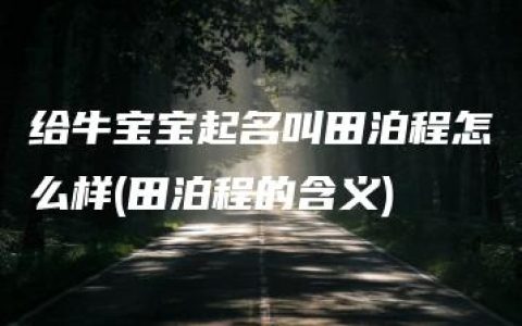 给牛宝宝起名叫田泊程怎么样(田泊程的含义)