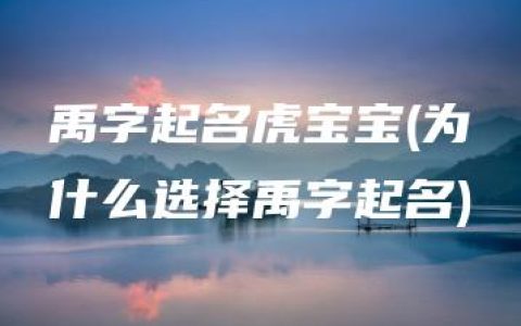 禹字起名虎宝宝(为什么选择禹字起名)