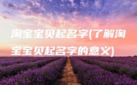 淘宝宝贝起名字(了解淘宝宝贝起名字的意义)