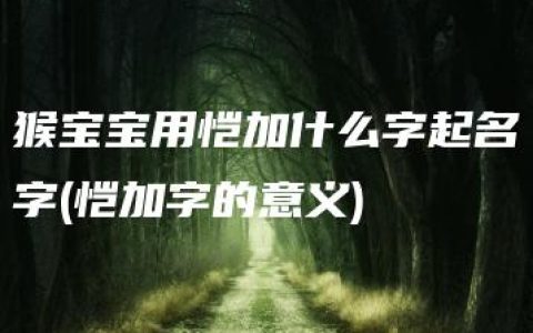 猴宝宝用恺加什么字起名字(恺加字的意义)