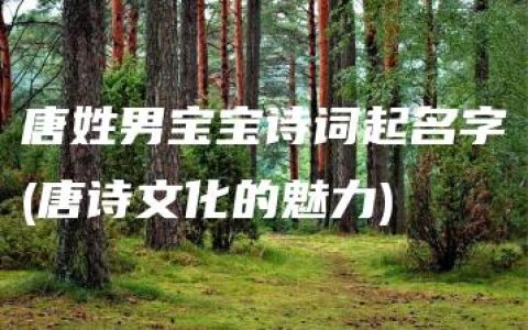 唐姓男宝宝诗词起名字(唐诗文化的魅力)