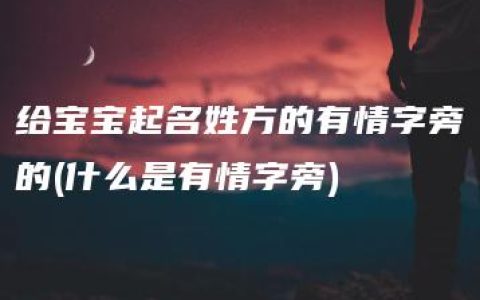 给宝宝起名姓方的有情字旁的(什么是有情字旁)