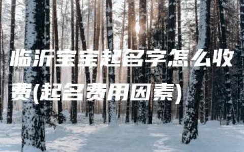 临沂宝宝起名字怎么收费(起名费用因素)