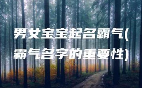 男女宝宝起名霸气(霸气名字的重要性)