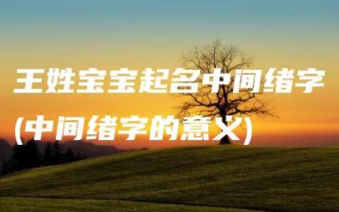 王姓宝宝起名中间绪字(中间绪字的意义)