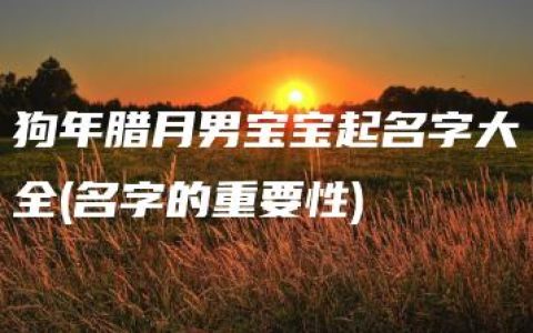 狗年腊月男宝宝起名字大全(名字的重要性)