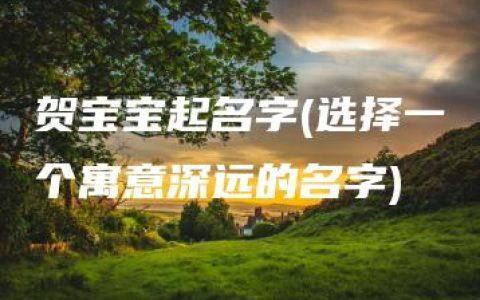 贺宝宝起名字(选择一个寓意深远的名字)