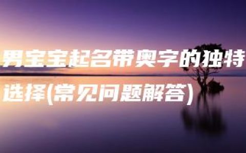 男宝宝起名带奥字的独特选择(常见问题解答)