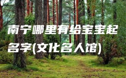 南宁哪里有给宝宝起名字(文化名人馆)