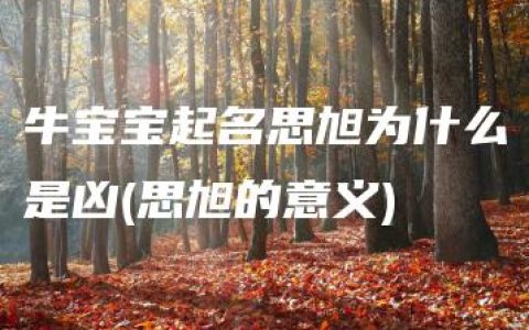 牛宝宝起名思旭为什么是凶(思旭的意义)