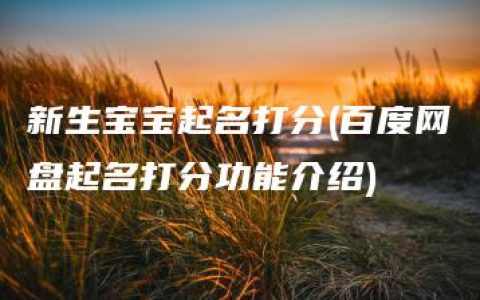 新生宝宝起名打分(百度网盘起名打分功能介绍)