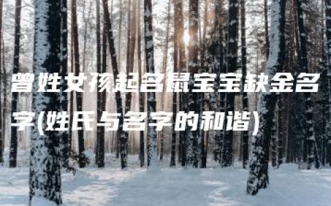 曾姓女孩起名鼠宝宝缺金名字(姓氏与名字的和谐)