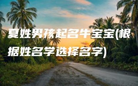 夏姓男孩起名牛宝宝(根据姓名学选择名字)