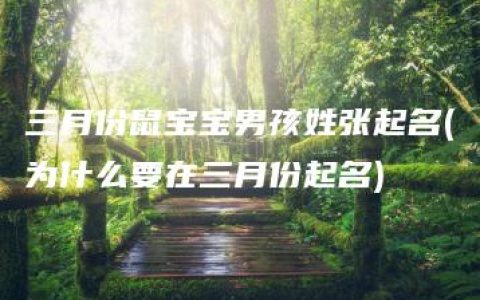 三月份鼠宝宝男孩姓张起名(为什么要在三月份起名)