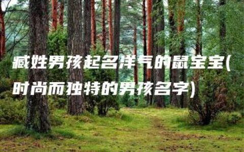 臧姓男孩起名洋气的鼠宝宝(时尚而独特的男孩名字)