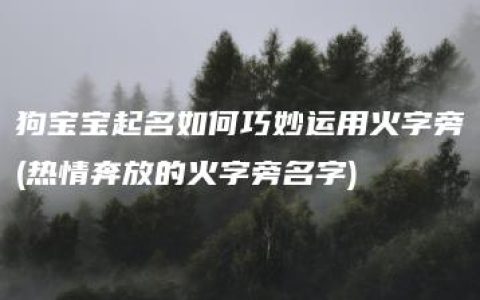 狗宝宝起名如何巧妙运用火字旁(热情奔放的火字旁名字)