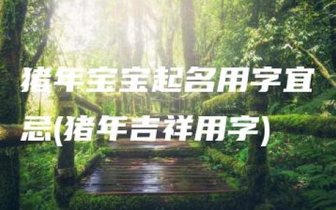 猪年宝宝起名用字宜忌(猪年吉祥用字)