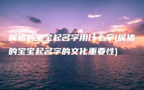 属猪的宝宝起名字用什么字(属猪的宝宝起名字的文化重要性)