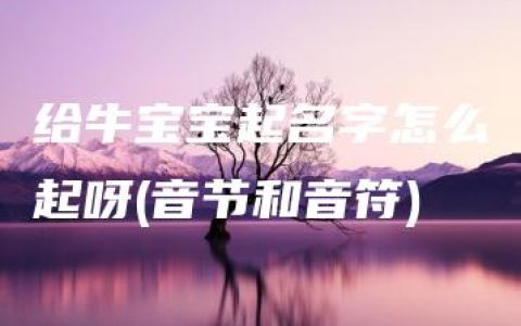 给牛宝宝起名字怎么起呀(音节和音符)