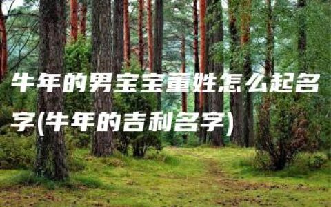 牛年的男宝宝董姓怎么起名字(牛年的吉利名字)