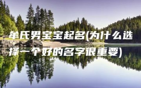 牟氏男宝宝起名(为什么选择一个好的名字很重要)