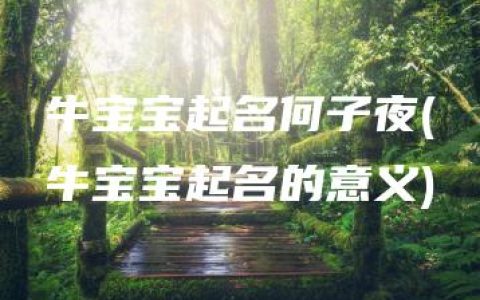 牛宝宝起名何子夜(牛宝宝起名的意义)