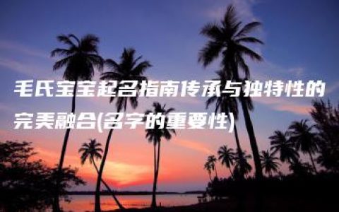 毛氏宝宝起名指南传承与独特性的完美融合(名字的重要性)