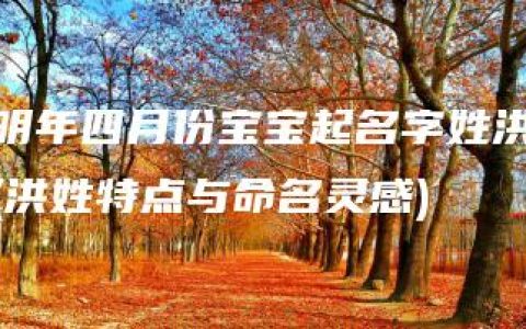 明年四月份宝宝起名字姓洪(洪姓特点与命名灵感)